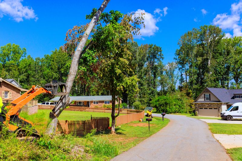 Contact About Excavation